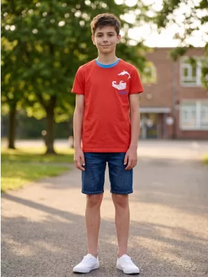 Chlapec T -shirt SAM 73 Calvino Ktsn177 ORANGE