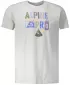 Pánske tričko ALPINE PRO ABIC 7 MTSP404 sivá