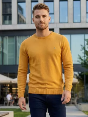 Pánsky sveter ALTISPORT KAMIQ MPLS096 ŽLTÁ