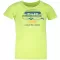 T -shirt ALPINE PRO MATTERO 3 KTST313 ZELENÝ