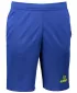 Pánske šortky ALTISPORT ALM006612 KRÁĽOVSKÁ MODRÁ