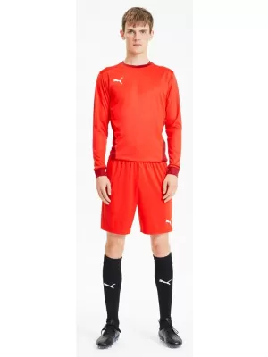 Pánske šortky PUMA TEAMGOAL 23 KNIT SHORTS 704262-01 PUMA RED
