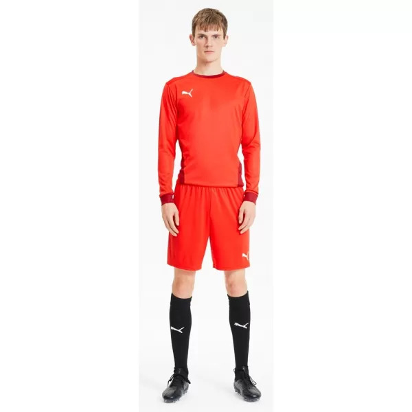  Pánske šortky PUMA TEAMGOAL 23 KNIT SHORTS 704262-01 PUMA RED 