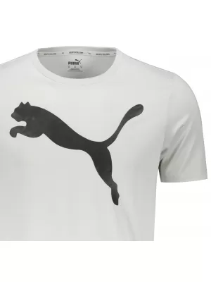 Pánske tričko PUMA ACTIVE BIG LOGO TEE 586724-09 GRAY