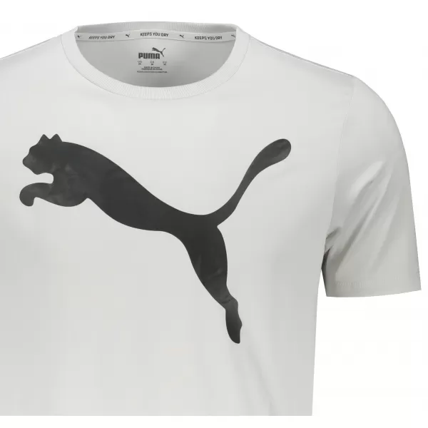  Pánske tričko PUMA ACTIVE BIG LOGO TEE 586724-09 GRAY 