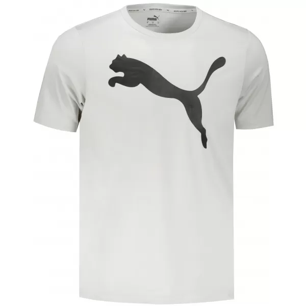  Pánske tričko PUMA ACTIVE BIG LOGO TEE 586724-09 GRAY 