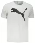 Pánske tričko PUMA ACTIVE BIG LOGO TEE 586724-09 GRAY