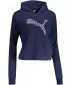 Dámska mikina PUMA POWER SUMMER GRAPHIC HOODIE TR 848402-06 BLUE