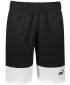 Pánske kraťasy PUMA POWER COLORBLOCK WOVEN SHORTS 9 848819-01 BLACK