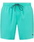 Pánske kraťasy PUMA SWIM MEN MEDIUM LENGTH SWIM SHORTS 1P 907660-19 GREEN
