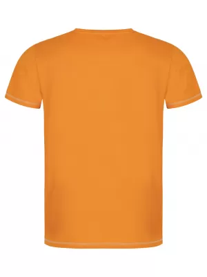 Pánske tričko LOAP ALEXUS CLM2308 žltá