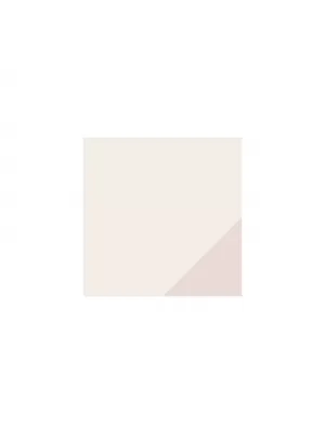 Dámske ponožky PUMA WOMEN SLÚCH SOCK 2P 938005-02 BEIGE