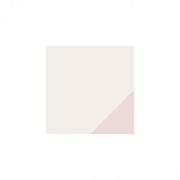  Dámske ponožky PUMA WOMEN SLÚCH SOCK 2P 938005-02 BEIGE 