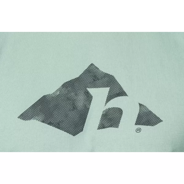  Pánske tričko HANNAH ALSEK SLATE GRAY 