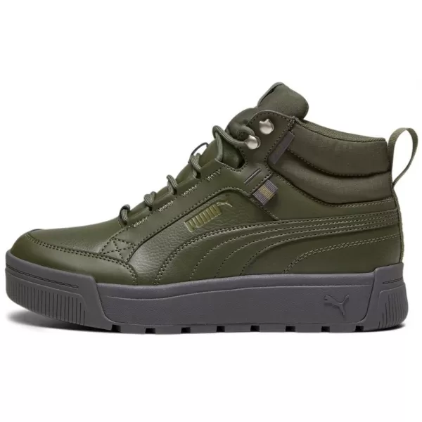  Pánske topánky PUMA TARRENZ SB III PURETEX 393930-03 GREEN 