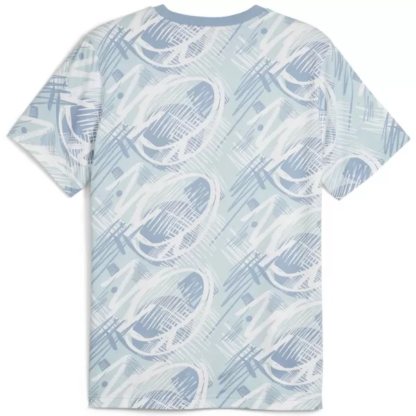  Pánske tričko PUMA POWER AOP TEE 678938-20 BLUE 