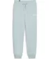 Dámske nohavice PUMA ESS+ SMALL LOGO HW PANTS TR 678744-22 BLUE