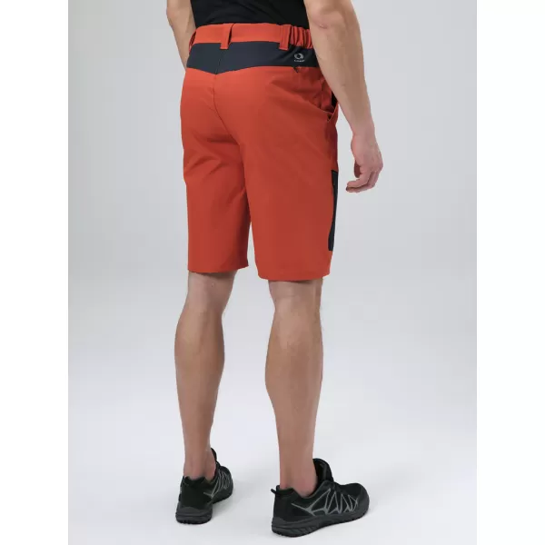  Pánske šortky LOAP UZEK OLM2405 oranžová 