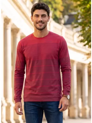 Pánske tričko ALTISPORT DAIRUS VÍNOVÁ