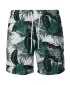 Pánske šortky URBAN CLASSICS TB2679 Palm listy