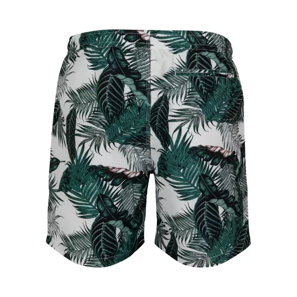  Pánske šortky URBAN CLASSICS TB2679 Palm listy 