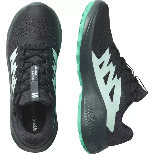  Dámske topánky SALOMON ALPHAGLIDE GTX W L47802400 FANTÓM/MESTSKÝ ŠIK/VODOPÁD 