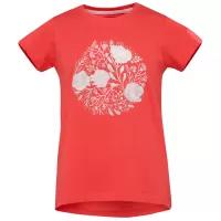 Červená