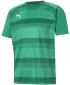 Funkčná košeľa mužov PUMA TEAMVISION JERSEY 704921_05 PEPERGREEN/POWERGREEN/WHITE
