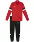 Stopka PUMA TEAMRISE TRACKSUIT 658653_01 PUMA RED/PUMA BLACK