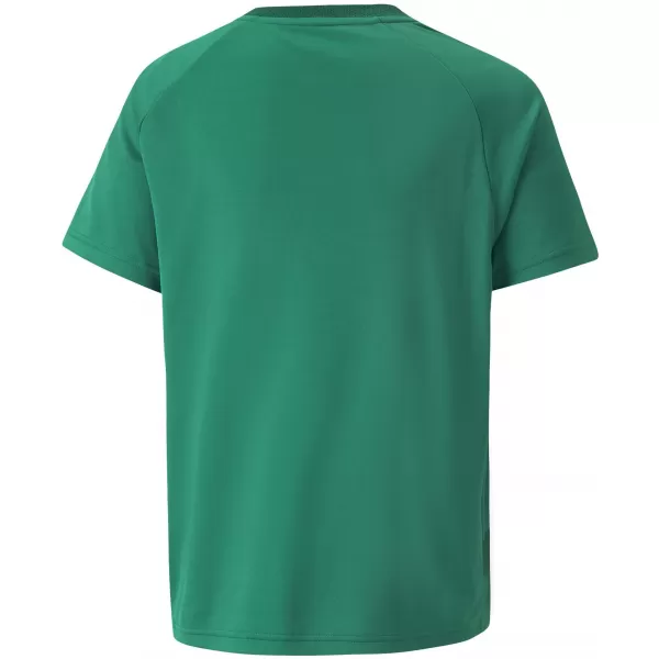  Detské tričko PUMA TEAMVISION JERSEY JR 704928_05 PEPERGREEN/POWERGREEN/WHITE 