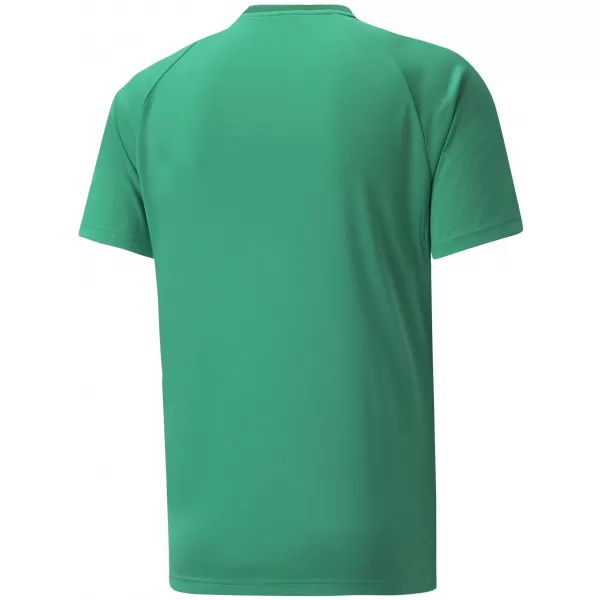  Funkčná košeľa mužov PUMA TEAMVISION JERSEY 704921_05 PEPERGREEN/POWERGREEN/WHITE 