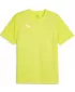 Pánske funkčné tričko PUMA TEAMFINAL TRAINING JERSEY 658557_30 ELECTRIC LIME/ ELEKTRICKÉ VÁPNO/STRIEBRO