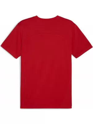 Pánske funkčné tričko PUMA TEAMFINAL TRAINING JERSEY 658557_01 PUMA RED/PUMA STRIEBRO
