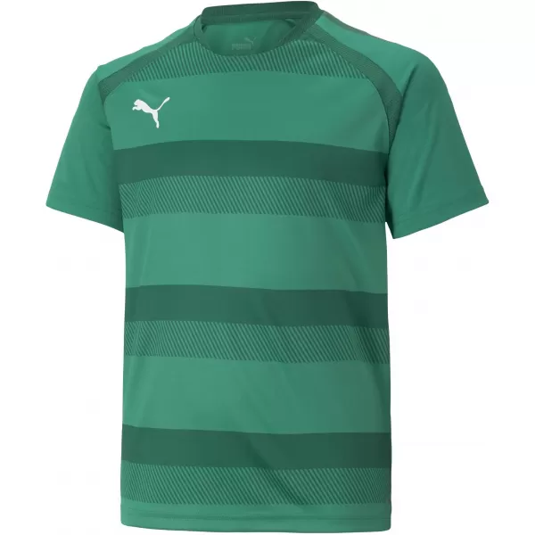  Detské tričko PUMA TEAMVISION JERSEY JR 704928_05 PEPERGREEN/POWERGREEN/WHITE 