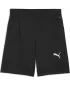 Kraťasy PUMA TEAMFINAL TRAINING SHORTS 658566_03 PUMA BLACK/PUMA SILVER