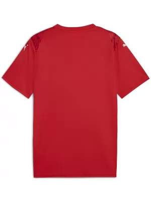 Mužský dres PUMA TEAMULTIMATE JERSEY 706280_01 PUMA RED/PUMA WHITE