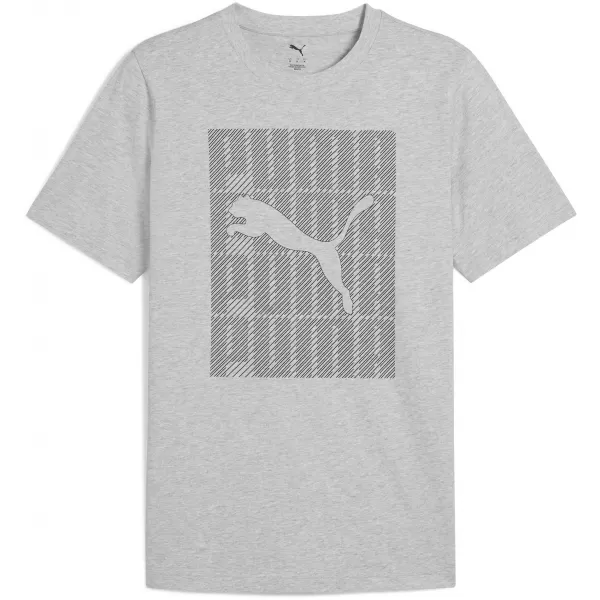  Pánske tričko PUMA GRAPHICS WORDING TEE 684825_04 SVETLOŠEDÝ VRES 