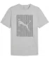 Pánske tričko PUMA GRAPHICS WORDING TEE 684825_04 SVETLOŠEDÝ VRES