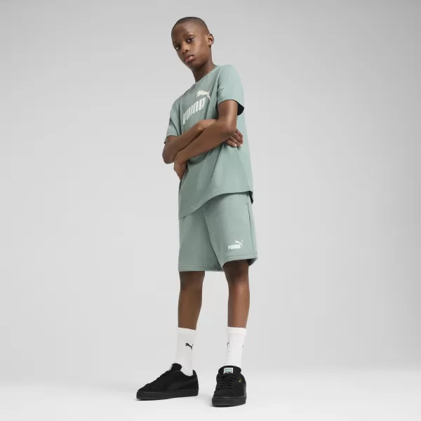  Detské tričko PUMA ESS 2 COLOR NO.1 LOGO TEE 685778_30 ZELENÝ MESIAC 