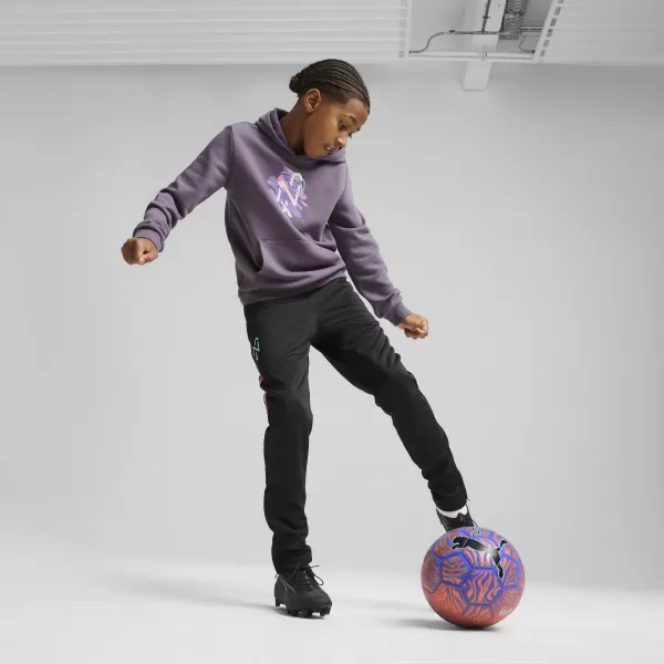  Mikina PUMA NEYMAR JR CREATIVITYHOODIEJR 660100_01 FIALOVÉ UHLIE 