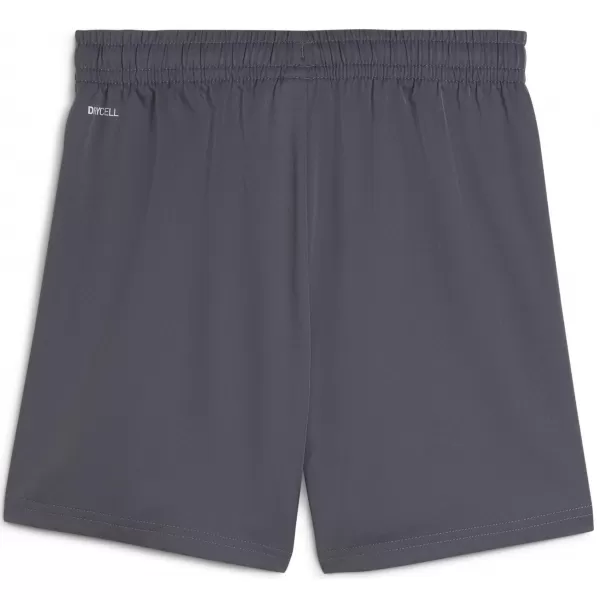  Kraťasy PUMA TAD ESS WOVEN SHORTS 526539_69 GALAKTICKÁ ŠEDÁ 