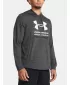 Pánska mikina UNDER ARMOUR RIVAL TERRY GRAPHIC HOOD 1386047-025 SIVÁ