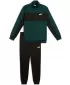 Pánska súprava PUMA POLY COLORBLOCK SUIT 687304-75 ZELENÁ