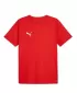 Mužský dres PUMA TEAMRISE MATCHDAY JERSEY 706132-01 ČERVENÝ