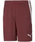 Kraťasy PUMA TEAMLIGA SHORTS 704924_02 ELEKTRICKÁ MODRÁ LIMONÁDA