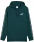 Pánska mikina PUMA ESS TAPE HOODIE FL 684675-75 ZELENÁ