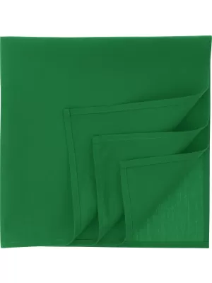 Šatka ATLANTIS | Bandana Goal-S GREEN