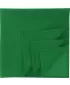 Šatka ATLANTIS | Bandana Goal-S GREEN