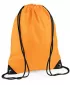 | BG 10 FLUORESCENT ORANGE BagBase