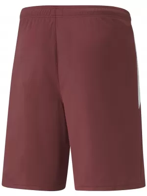 Kraťasy PUMA TEAMLIGA SHORTS 704924_02 ELEKTRICKÁ MODRÁ LIMONÁDA